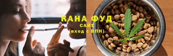 хмурый Арсеньев