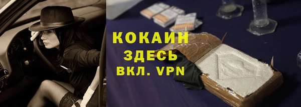 хмурый Арсеньев