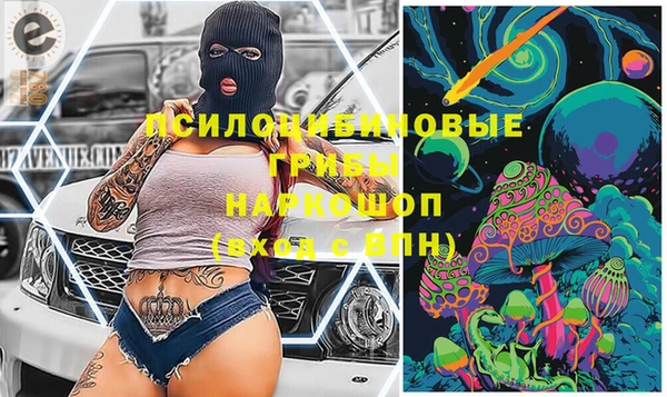 хмурый Арсеньев