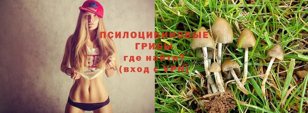 метамфетамин Армянск