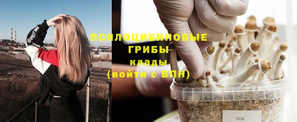 хмурый Арсеньев